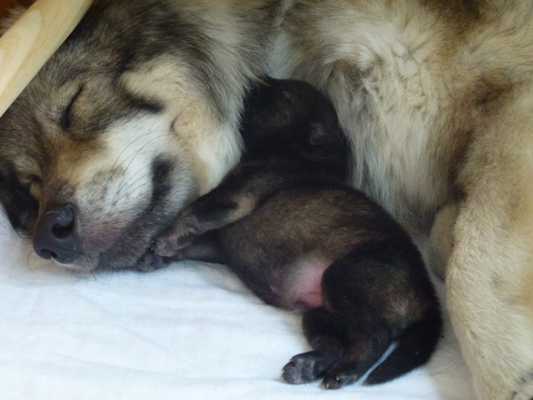 Kuscheln mit Mama