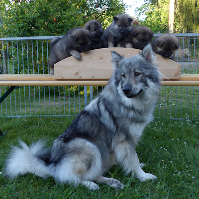 Familienfoto