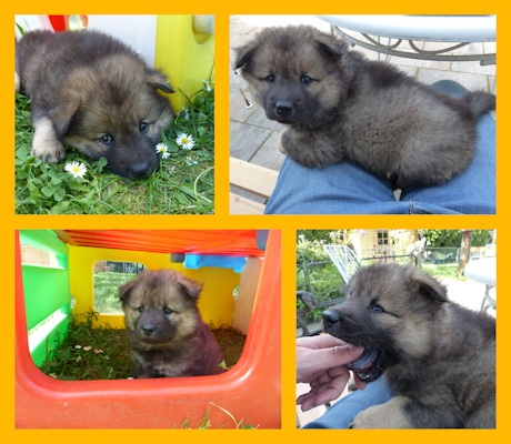 ...und...