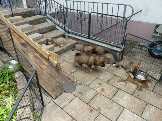 Danach nochmal chillen und dann ab ins neue Leben...
