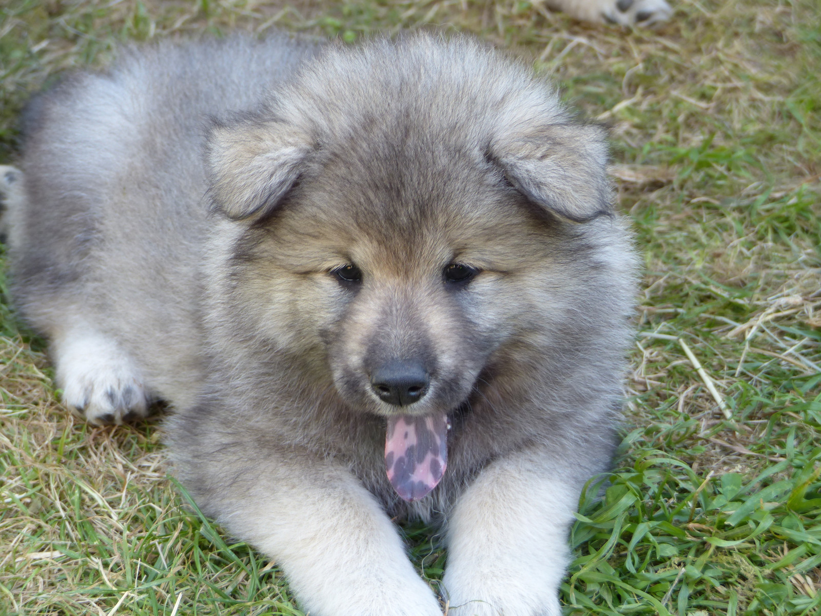 So habe ich meine Familie kennengelernt