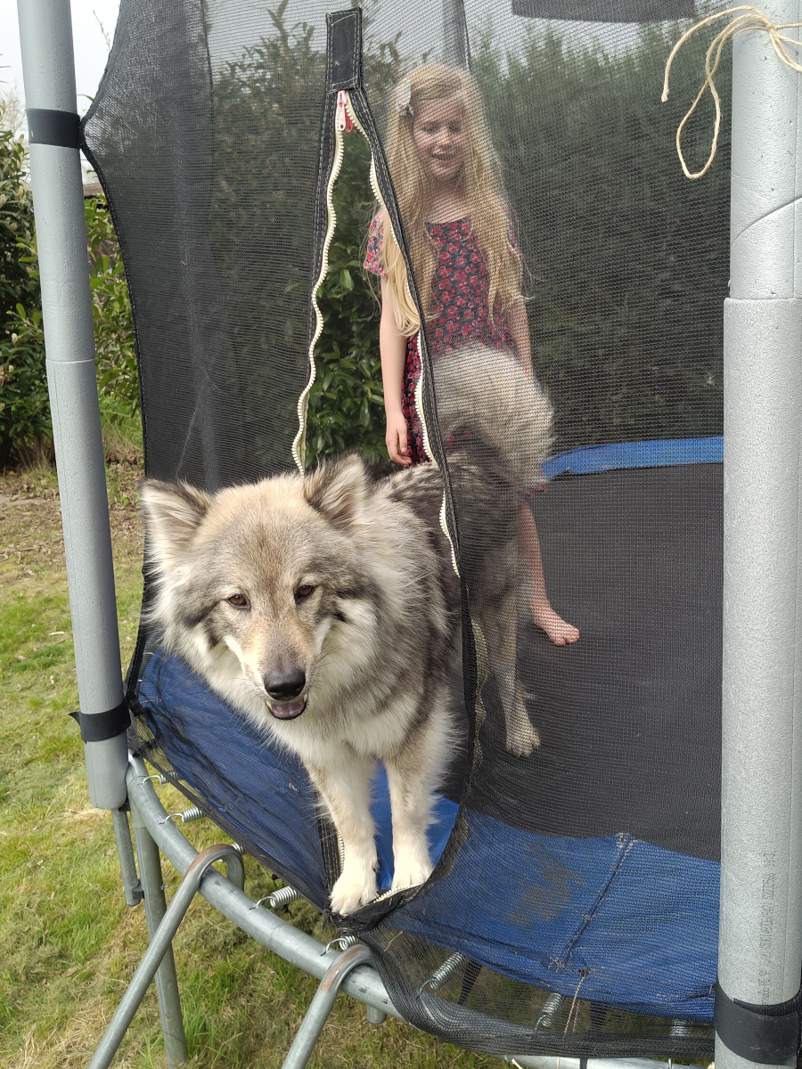 ... und folge dir überall hin