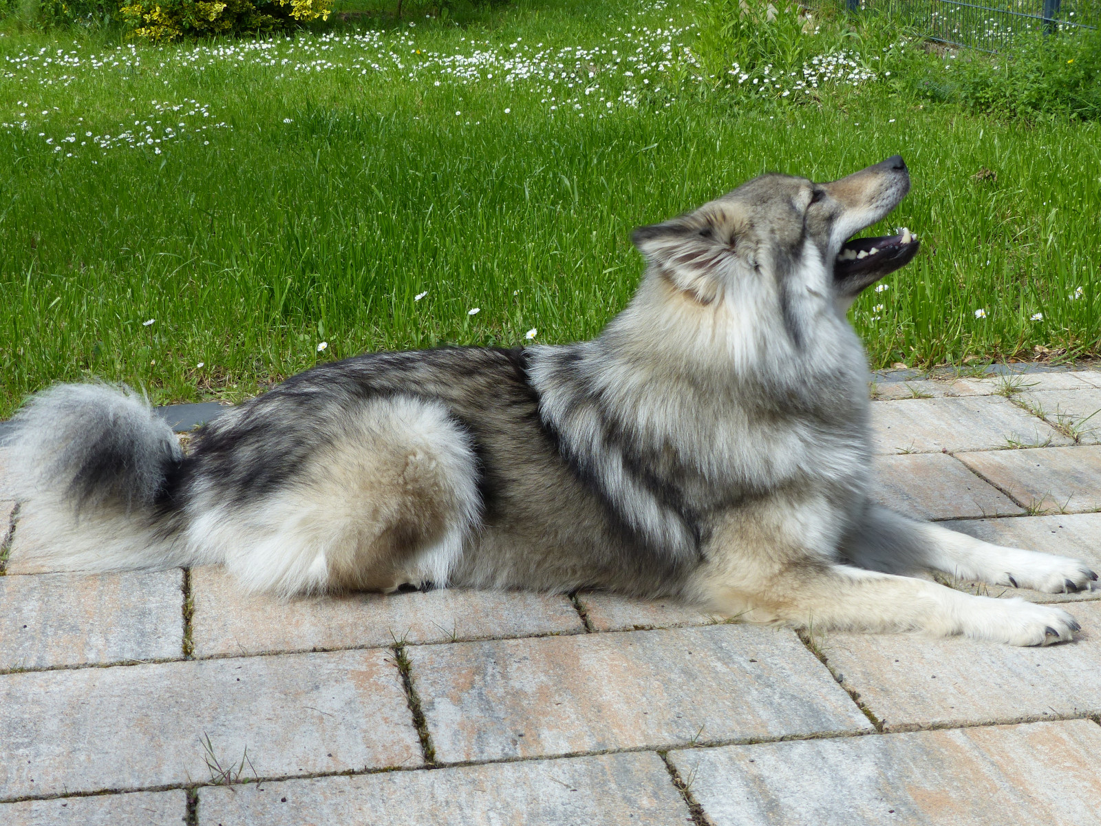 Entspannen auf der Terrasse