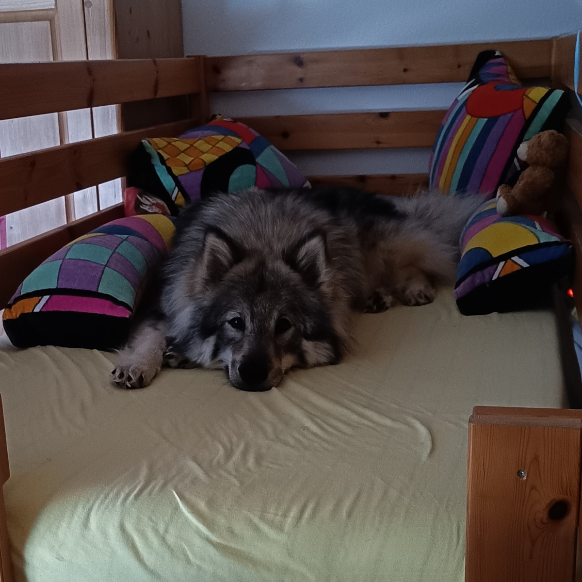 Entspannen im Hochbett