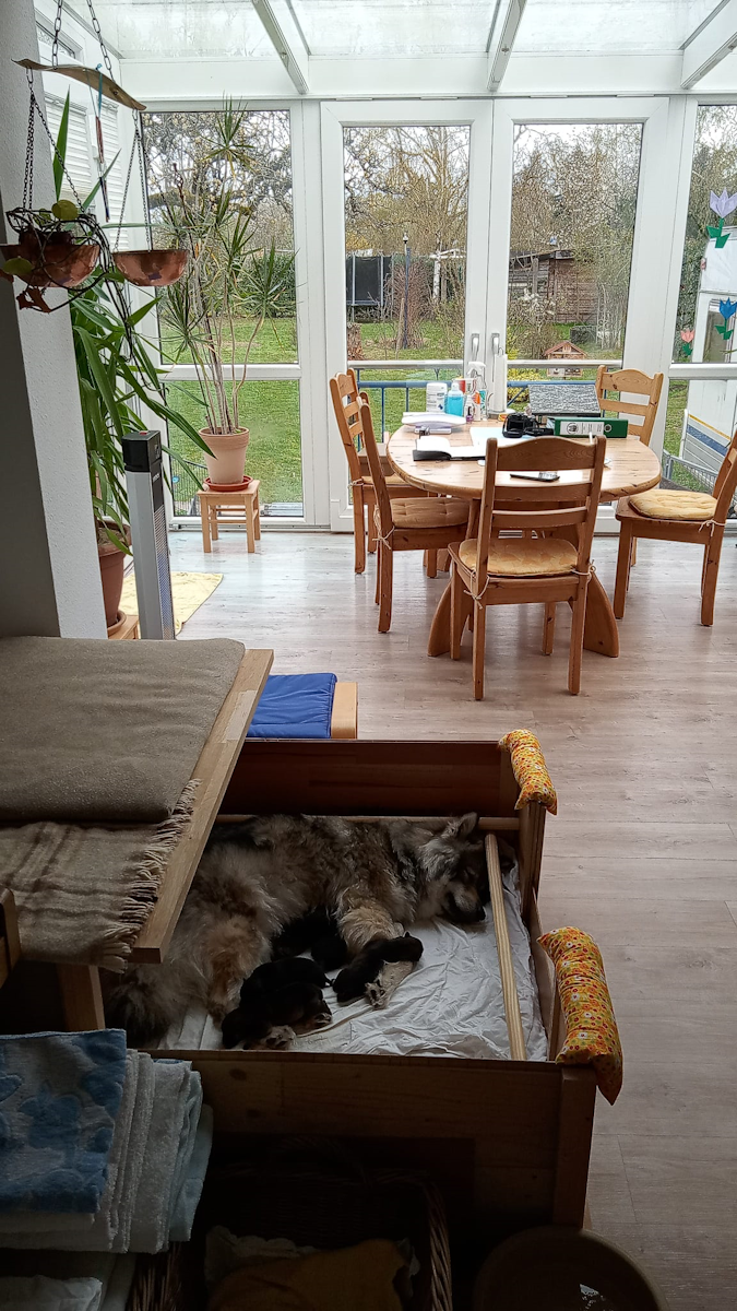 Im Wintergarten ist es auch bei schlechtem Wetter gemütlich